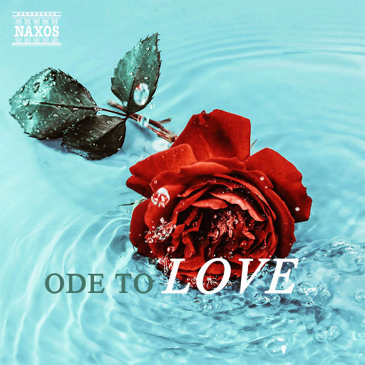 看黄色录像看护土姐姐日逼大片
